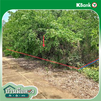 รูป ที่ดินว่างเปล่า 690 ตร.วา เขาค้อแกรนด์วิลล์ เมืองเพชรบูรณ์ เพชรบูรณ์ 714,000 - รูปที่ 13/15
