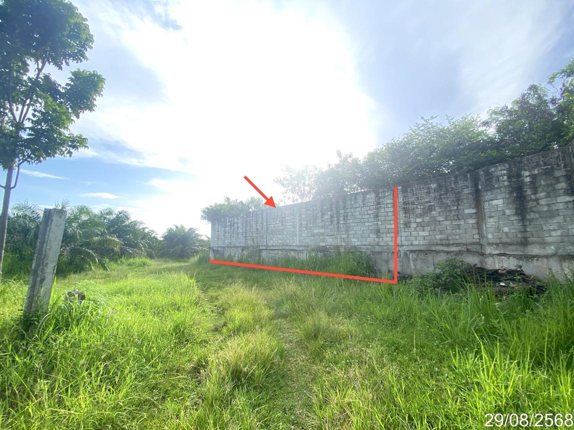 picture LAND 1016.8 Sq.w. Ban Bung Chonburi for 13.6M - 9/17