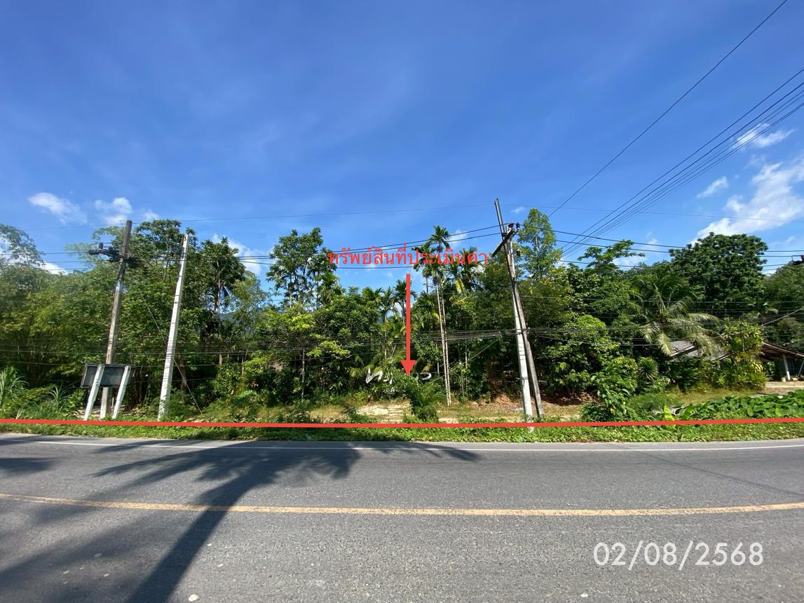picture LAND 320 Sq.w. Kong Ra Phatthalung for 2M - 10/21