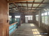 listing thumbnail image 10