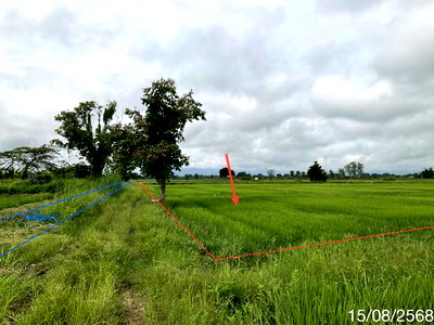 Land for sale Mae Chan Chiang Rai : LAND 5450 Sq.w. Mae Chan Chiang Rai for 3.4M
