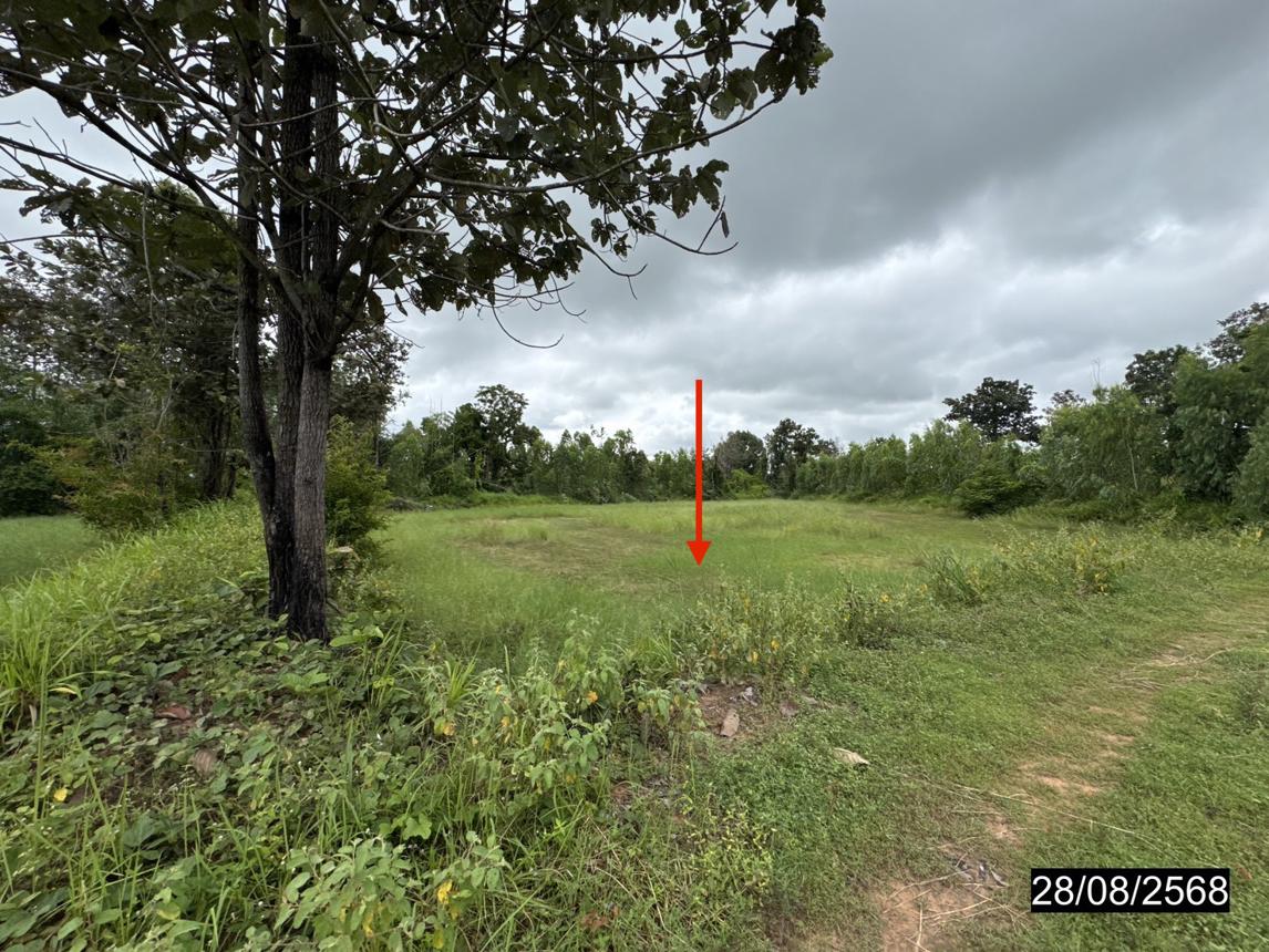 picture LAND 5200 Sq.w. Senangkhanikhom Amnat Charoen for 3.7M - 15/25