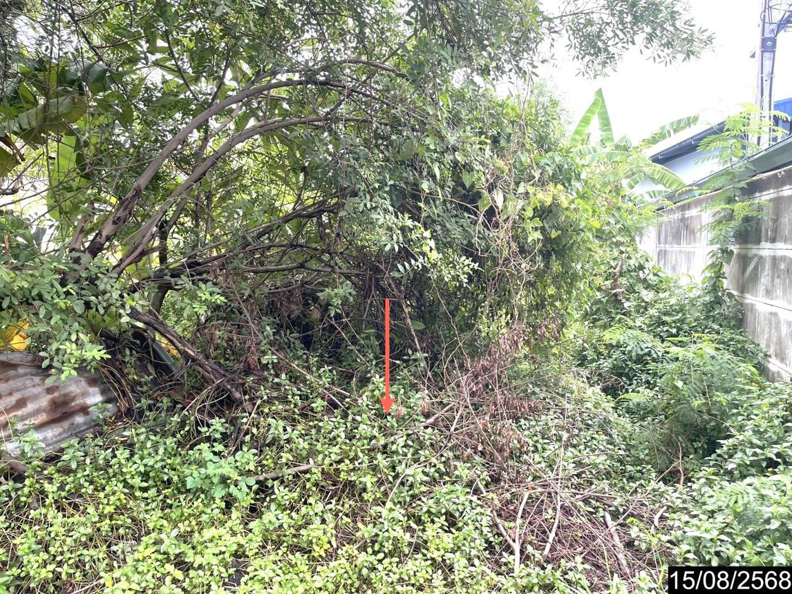 รูป ที่ดินว่างเปล่า 99.6 ตร.วา เมืองขอนแก่น ขอนแก่น 1.5M - รูปที่ 10/15