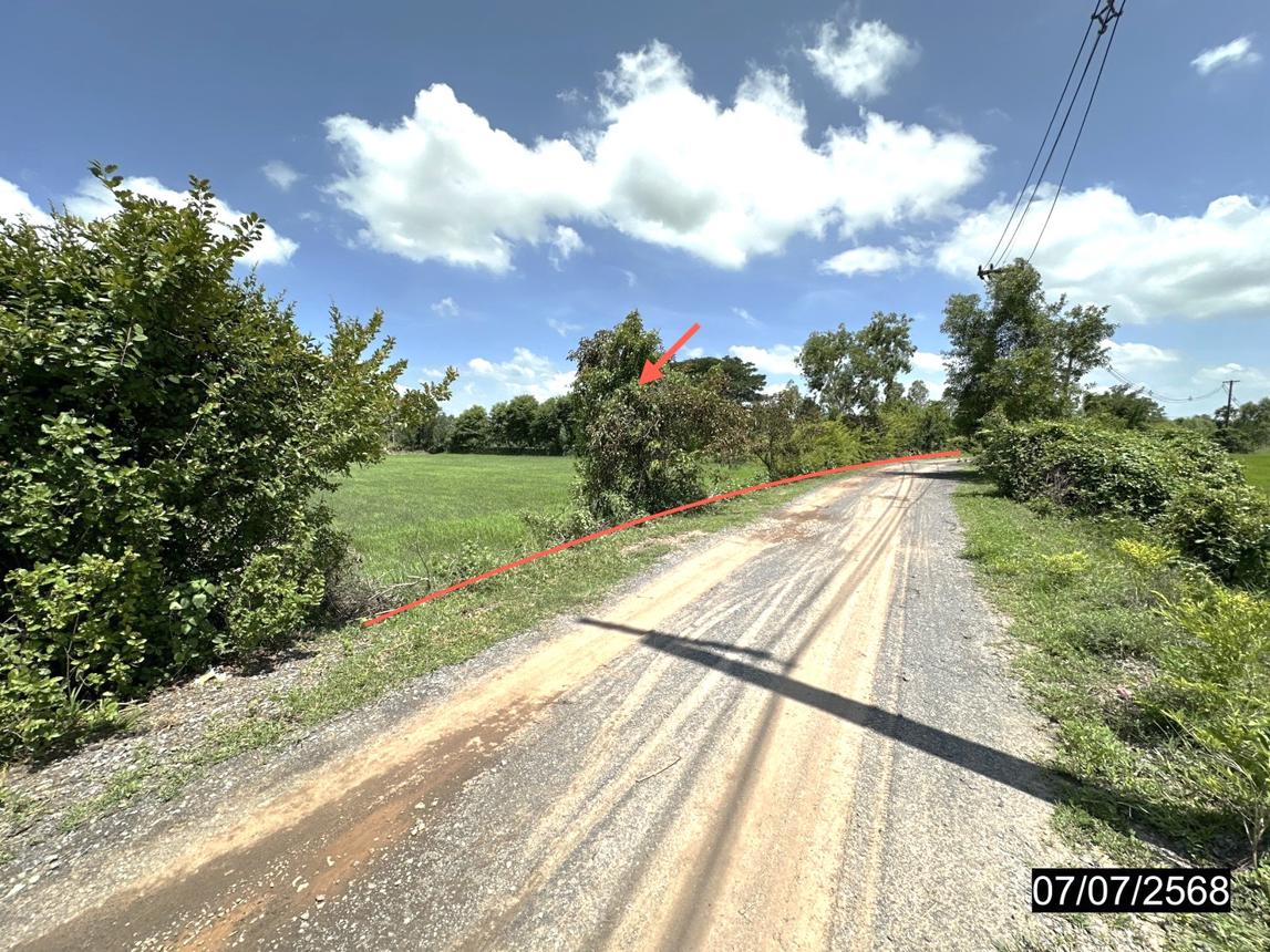 picture LAND 1106 Sq.w. Kaset Wisai Roi Et for 1.1M - 12/19