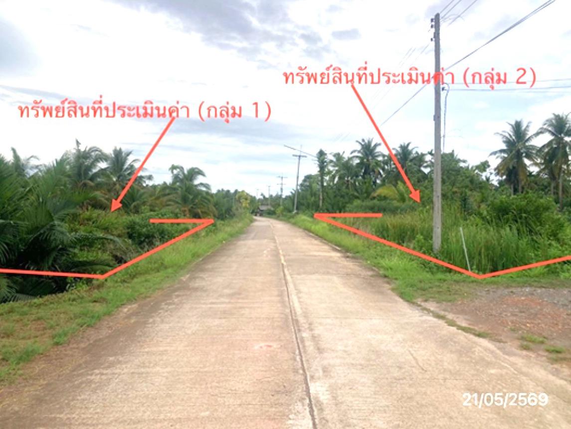 รูป ที่ดินว่างเปล่า 1945.7 ตร.วา เมืองสุราษฎร์ธานี สุราษฎร์ธานี 5.2M - รูปที่ 12/25