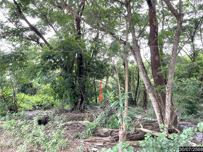 รูป ที่ดินว่างเปล่า 1862.1 ตร.วา เมืองอุดรธานี อุดรธานี 13.4M - รูปที่ 8/19