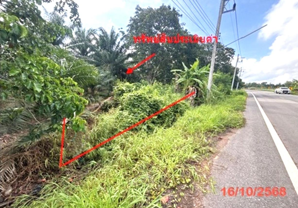 picture LAND 379.5 Sq.w. Muang Surat Thani Surat Thani for 1.7M - 11/21