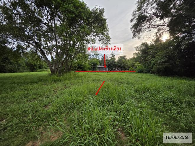 รูป ที่ดินว่างเปล่า 952 ตร.วา วาริชภูมิ สกลนคร 1.3M - รูปที่ 8/25