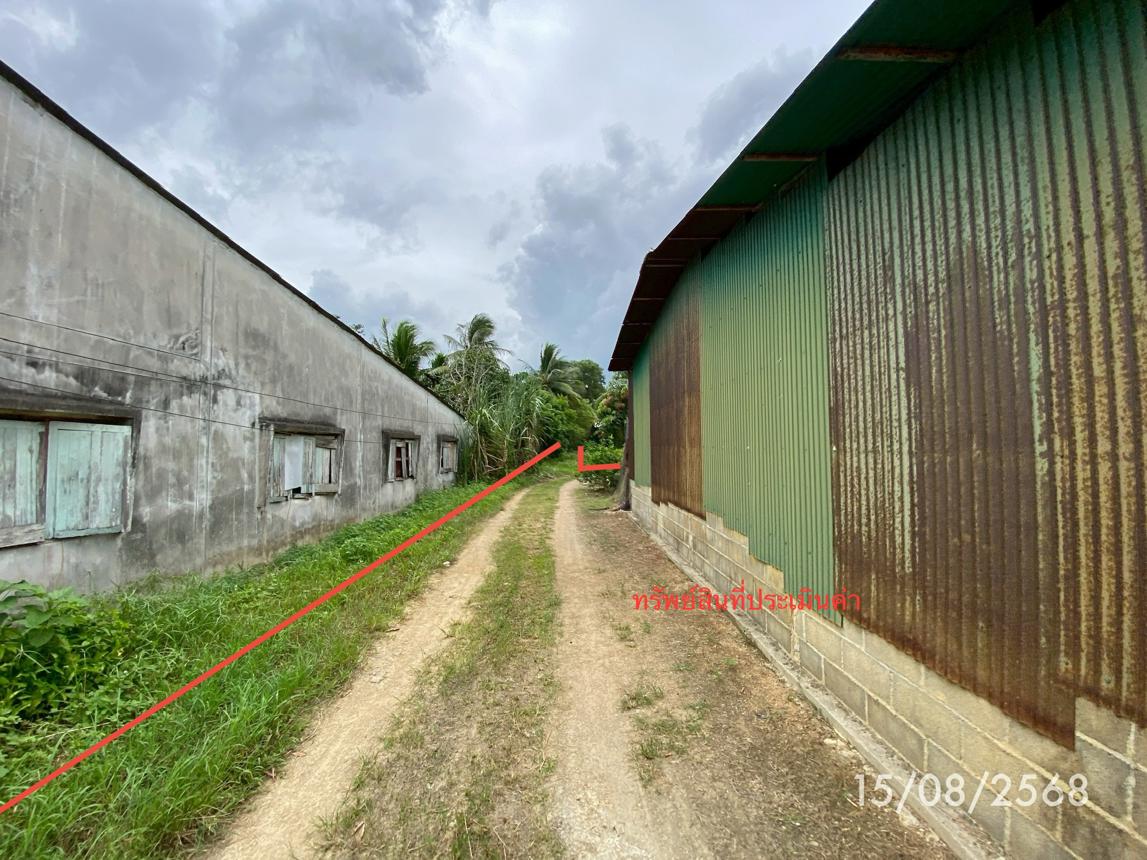 รูป ที่ดินว่างเปล่า 727.8 ตร.วา รัตภูมิ สงขลา 8.1M - รูปที่ 15/25