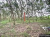 listing thumbnail image 48