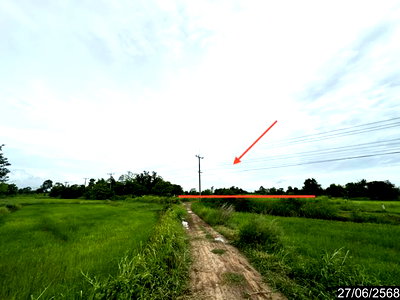 ที่ดิน อุบลราชธานี : ที่ดินว่างเปล่า 5664 ตร.วา เดชอุดม อุบลราชธานี 6.1M