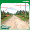 listing thumbnail image 22