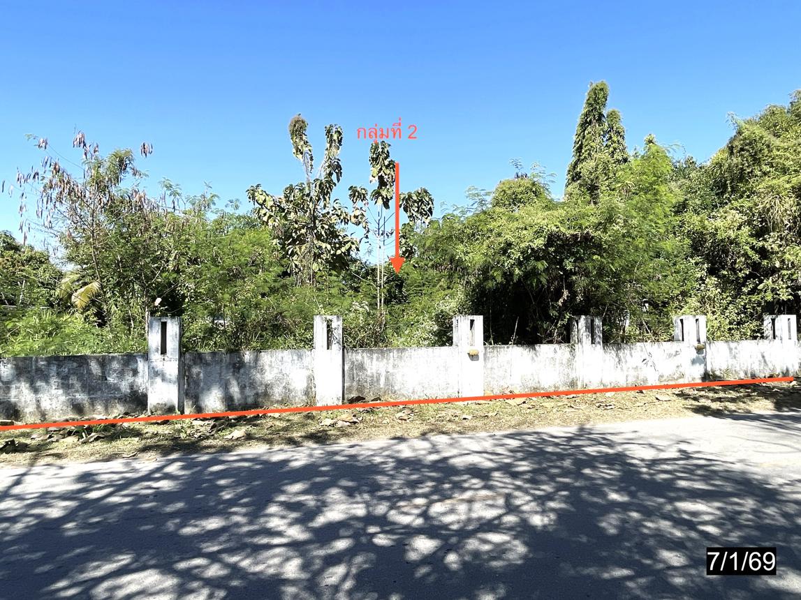 picture HOME 2177 Sq.w. Chum Phae Khon Kaen for 8.3M - 41/45