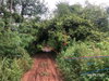 listing thumbnail image 8