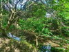 listing thumbnail image 19
