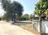 listing thumbnail image 20