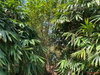 listing thumbnail image 14