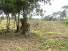 listing thumbnail image 28