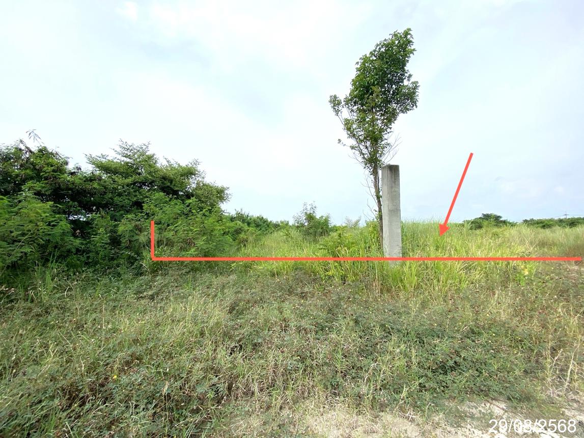 picture LAND 1016.8 Sq.w. Ban Bung Chonburi for 13.6M - 10/17