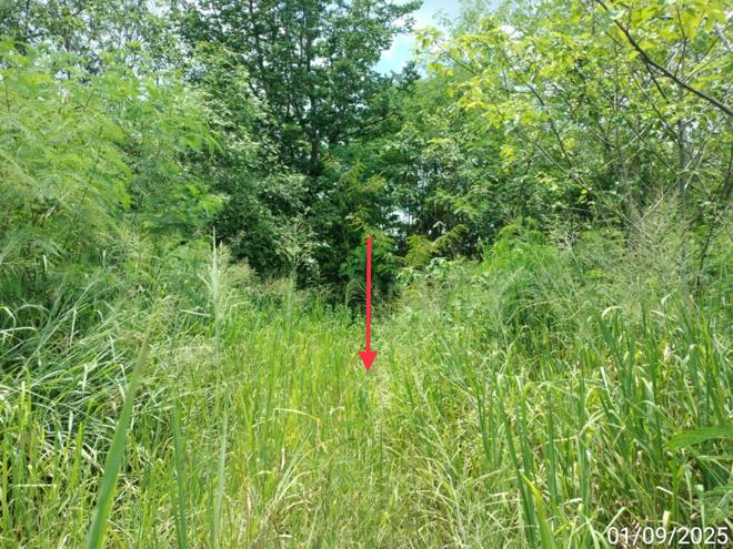 picture LAND 238 Sq.w. Muak Lek Saraburi for 333,000 - 5/19