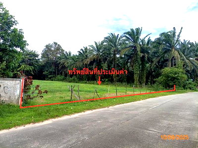Land for sale Krabi Airport : LAND 235.5 Sq.w. Nua Khlong Krabi for 2.6M