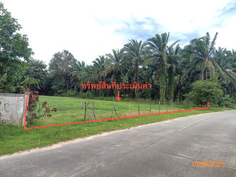 LAND 235.5 Sq.w. Nua Khlong Krabi for 2.6M