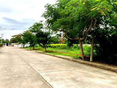 ที่ดิน นครปฐม : ที่ดินว่างเปล่า 225 ตร.วา กฤษดา ซิตี้ กอล์ฟ ฮิลล์ 26 นครชัยศรี นครปฐม 4.3M