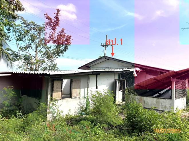 รูป บ้านเดี่ยว 4945 ตร.วา กาญจนดิษฐ์ สุราษฎร์ธานี 2.3M - รูปที่ 2/33