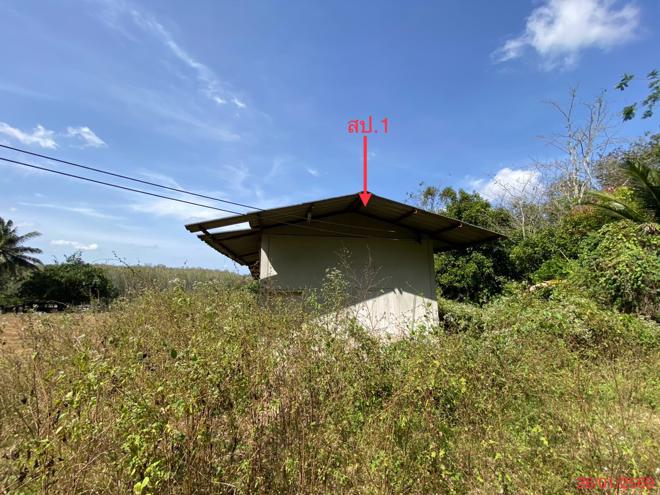 รูป บ้านเดี่ยว 11140.7 ตร.วา สะเดา สงขลา 8.8M - รูปที่ 2/37