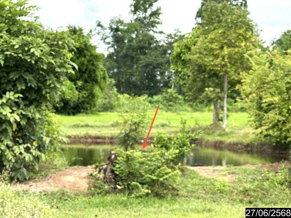 รูป ที่ดินว่างเปล่า 5664 ตร.วา เดชอุดม อุบลราชธานี 6.1M - รูปที่ 18/25