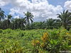 listing thumbnail image 4