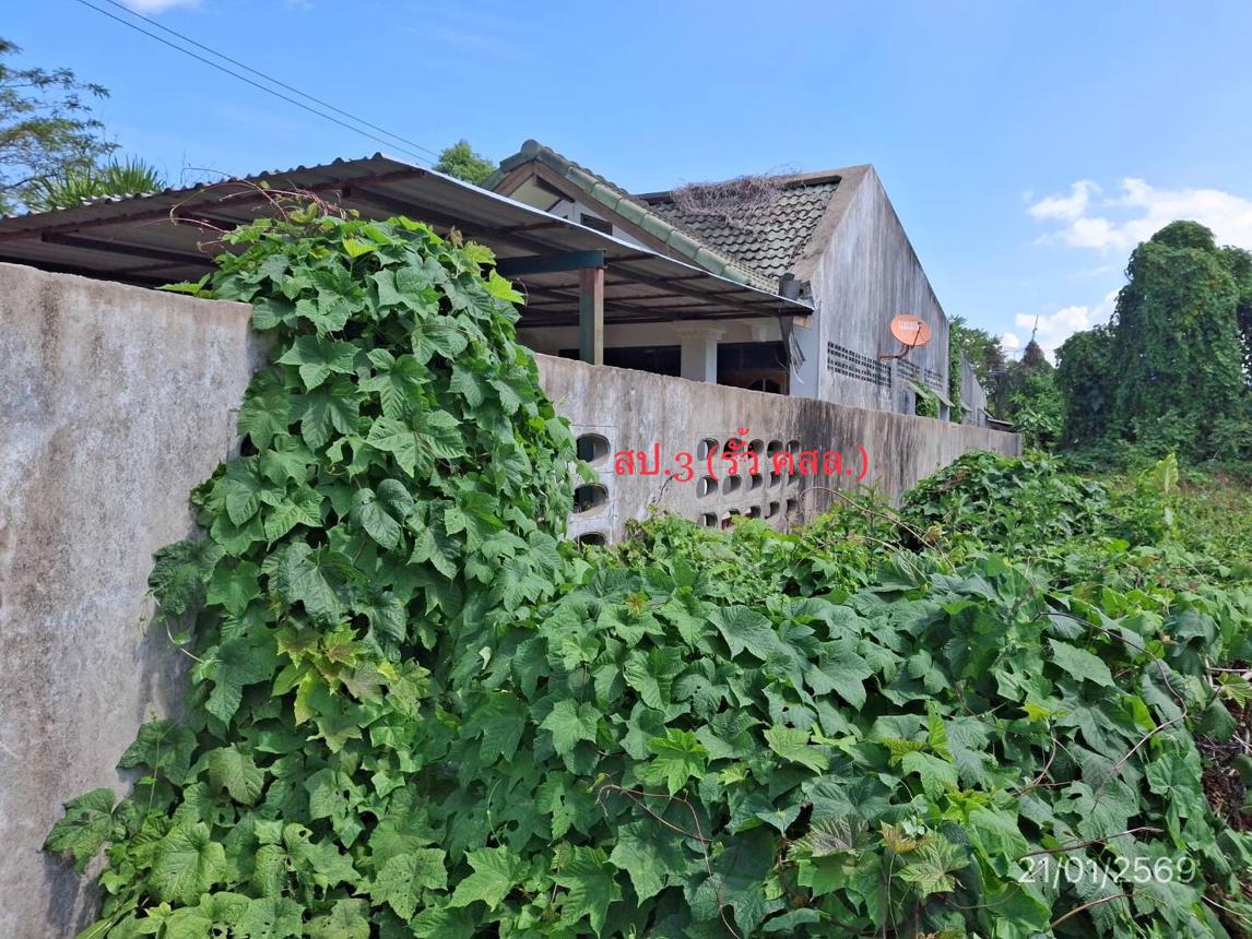 รูป บ้านเดี่ยว 132.4 ตร.วา นาโยง ตรัง 2.4M - รูปที่ 41/45