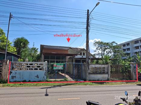 รูป บ้านเดี่ยว 132.4 ตร.วา นาโยง ตรัง 2.4M - รูปที่ 42/45