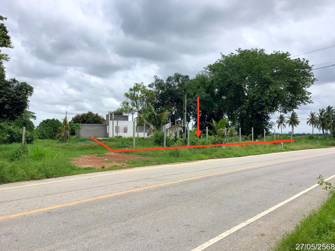 picture LAND 4246 Sq.w. Khlong Khlung Kamphaeng Phet for 4.2M - 12/25