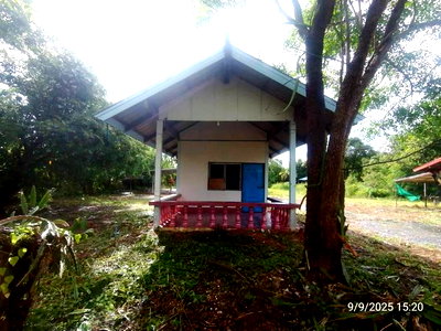 ขายบ้านเดี่ยว : บ้านเดี่ยว 1081 ตร.วา ศรีวิไล บึงกาฬ 3.4M
