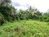 listing thumbnail image 20