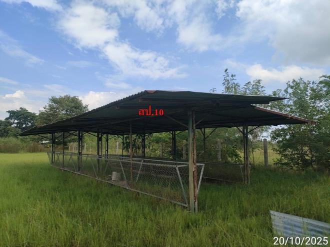 picture FACTORY 12659 Sq.w. Phayakkhaphum Phisai Maha Sarakham for 5.4M - 16/37