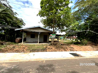 บ้านเดี่ยว สุรินทร์ : บ้านเดี่ยว 125 ตร.วา สำโรงทาบ สุรินทร์ 344,000