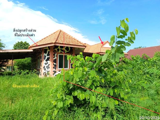 รูป บ้านเดี่ยว 97 ตร.วา ปากช่อง นครราชสีมา 755,000 - รูปที่ 10/31
