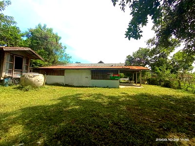 ขายบ้านเดี่ยว : บ้านเดี่ยว 109 ตร.วา บรบือ มหาสารคาม 726,000