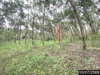 listing thumbnail image 47