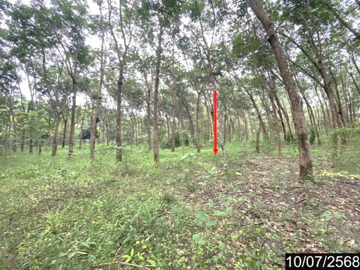 รูป บ้านเดี่ยว 9771.8 ตร.วา รัตนวาปี หนองคาย 14.3M - รูปที่ 48/53