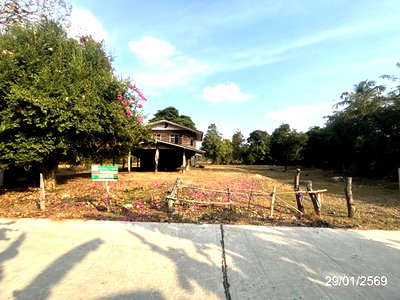 บ้านเดี่ยว สุรินทร์ : บ้านเดี่ยว 2443 ตร.วา ศีขรภูมิ สุรินทร์ 1.3M
