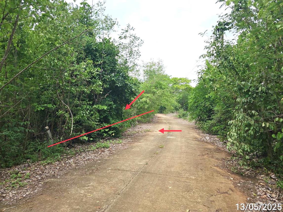 รูป ที่ดินว่างเปล่า 690 ตร.วา เขาค้อแกรนด์วิลล์ เมืองเพชรบูรณ์ เพชรบูรณ์ 714,000 - รูปที่ 9/15