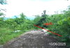 listing thumbnail image 10