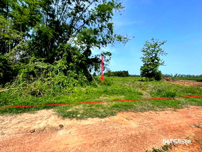 Land for sale Phitsanulok : LAND 6305 Sq.w. Bang Krathum Phitsanulok for 1.4M