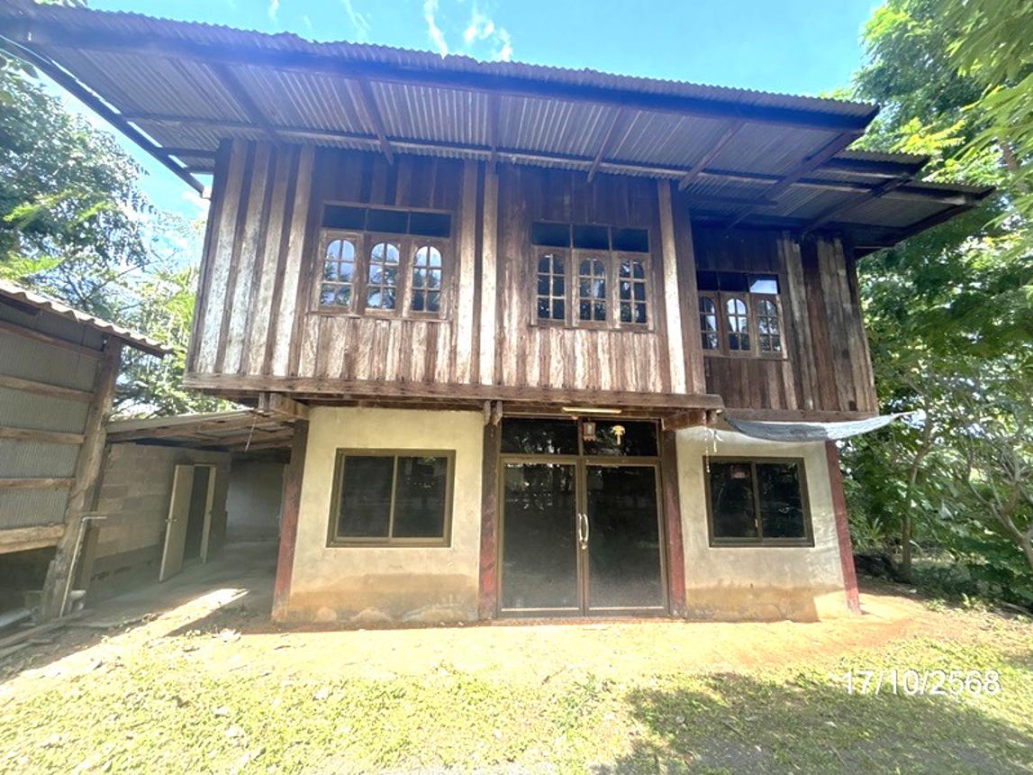 รูป บ้านเดี่ยว 144 ตร.วา ขุนหาญ ศรีสะเกษ 384,000 - รูปที่ 15/31