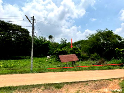 Land for sale Chaeng Sanit Road, Ubon Ratchathani : LAND 1777.2 Sq.w. Muang Ya Sothon Yasothon for 1.4M