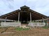 listing thumbnail image 32