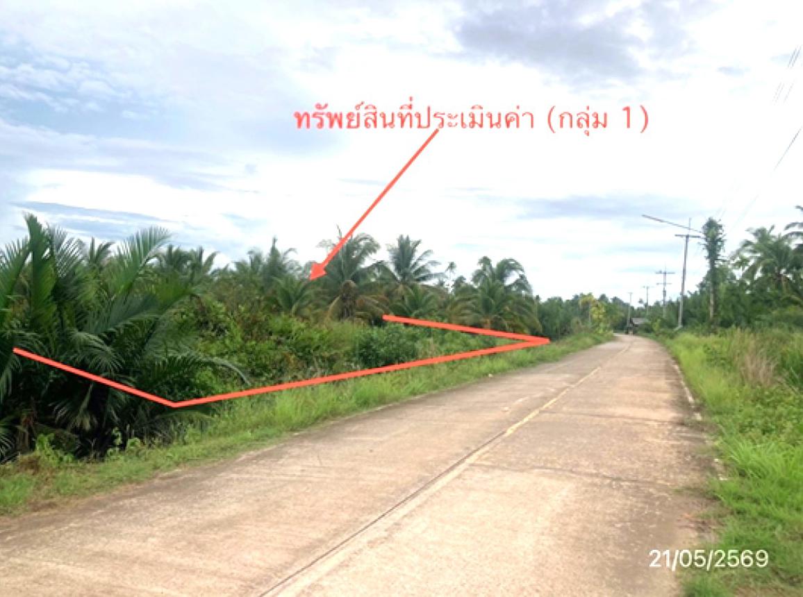 รูป ที่ดินว่างเปล่า 1945.7 ตร.วา เมืองสุราษฎร์ธานี สุราษฎร์ธานี 5.2M - รูปที่ 14/25